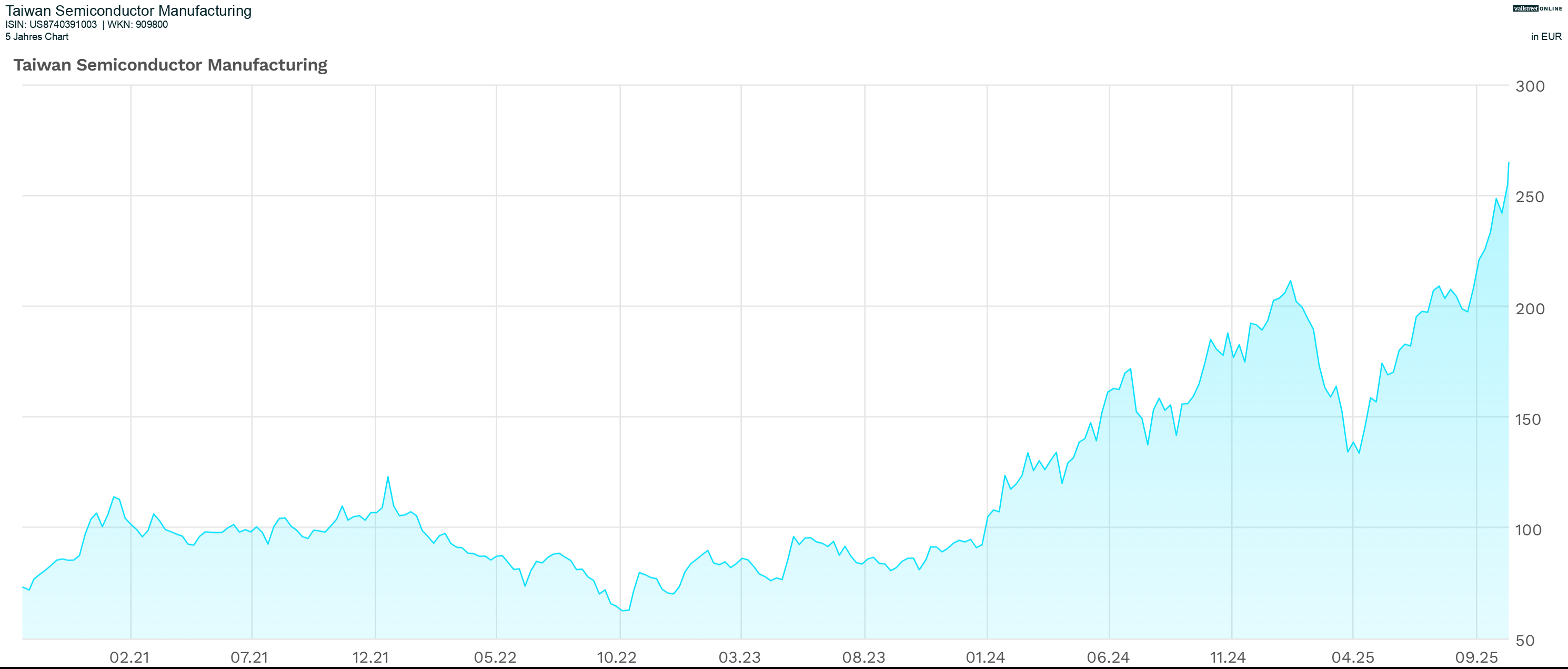 5-Jahres-Chart TSMC